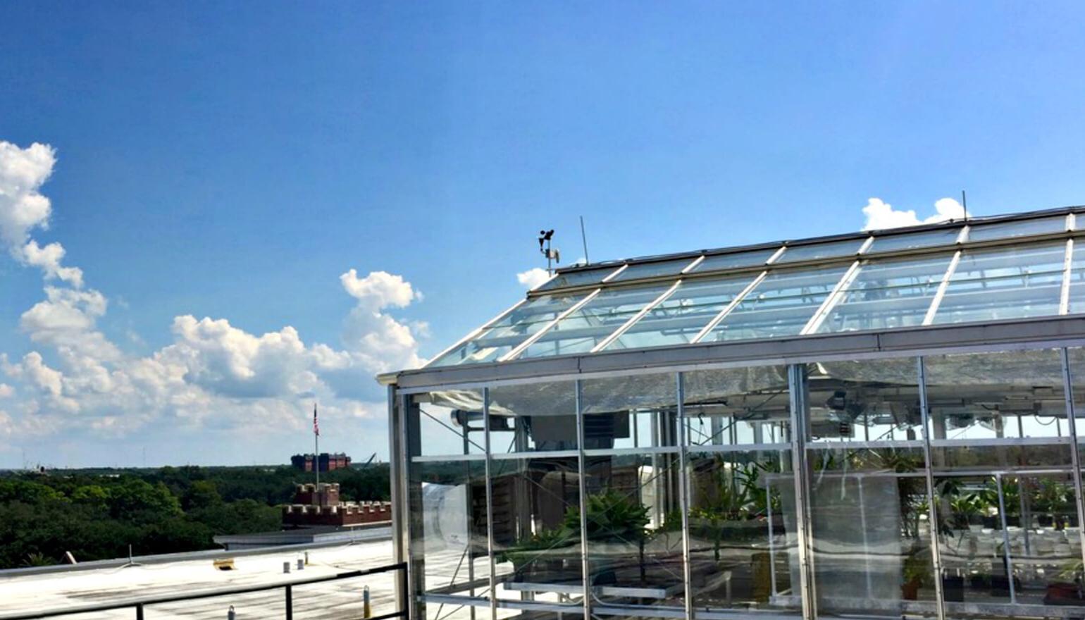 View of rooftop greenhouse
